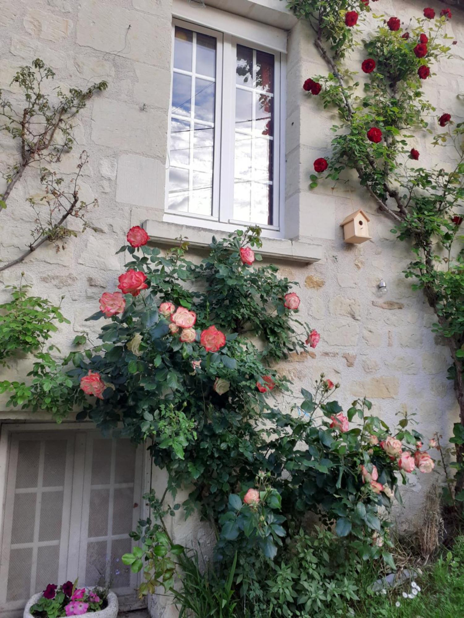 Esprit Troglo Villa Beaumont-en-Veron Bagian luar foto